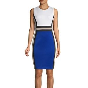 NWT Calvin Klein Colorblock Sleeveless Work Dress